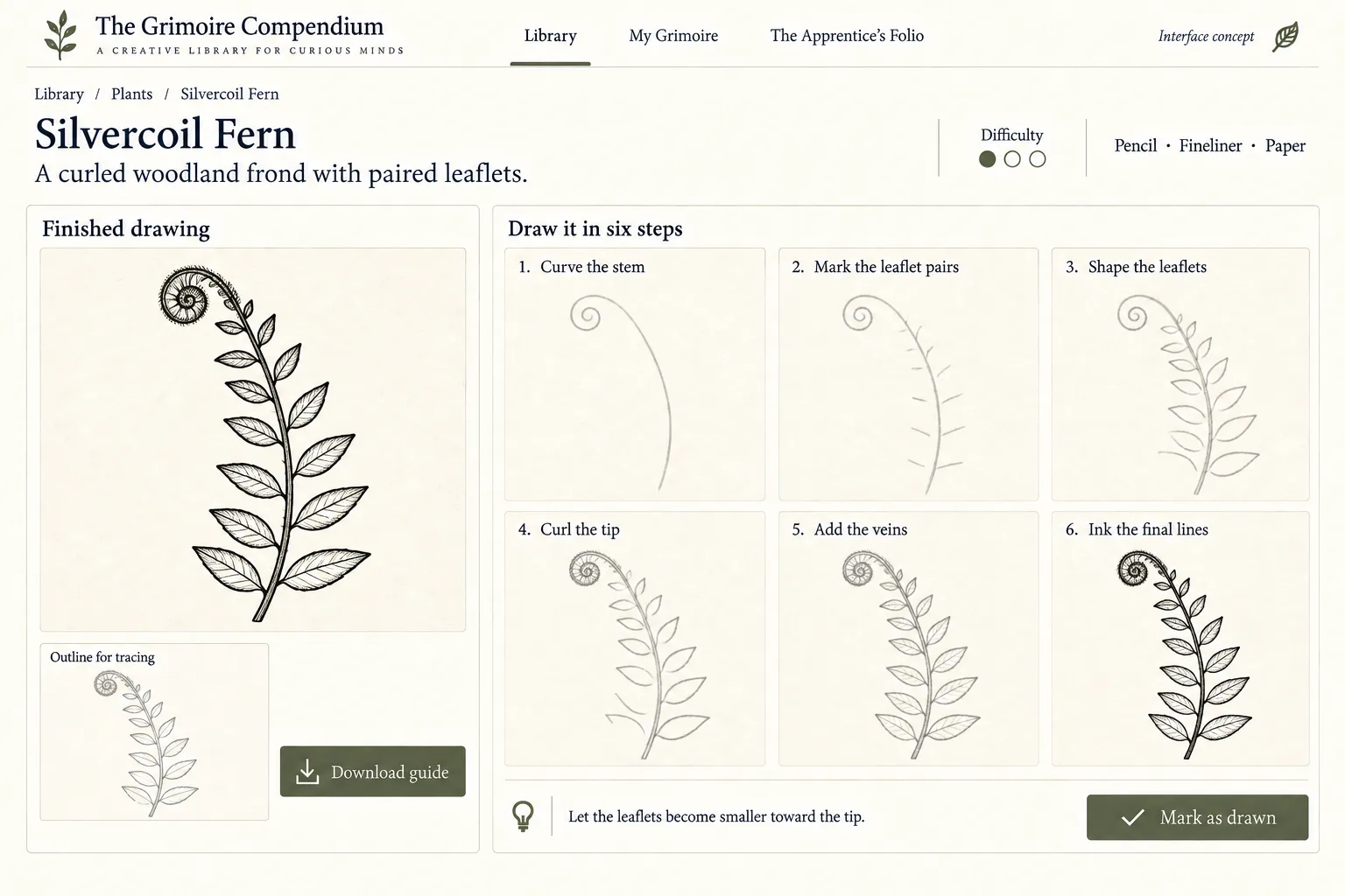 The Silvercoil Fern entry, drawn in steps
